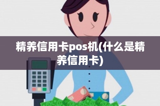 精养信用卡pos机(什么是精养信用卡)