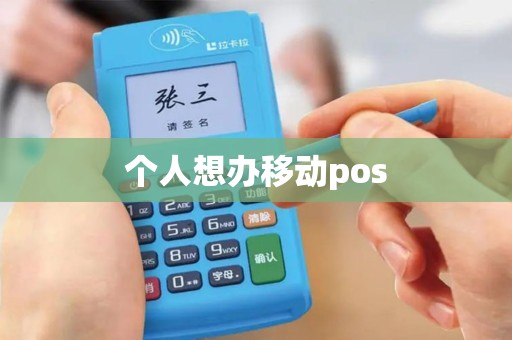 个人想办移动pos
