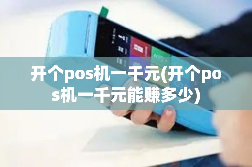 开个pos机一千元(开个pos机一千元能赚多少)