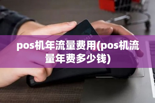 pos机年流量费用(pos机流量年费多少钱)
