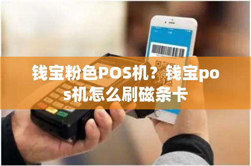 钱宝粉色POS机？钱宝pos机怎么刷磁条卡