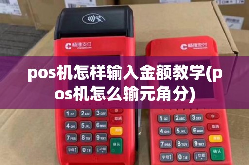 pos机怎样输入金额教学(pos机怎么输元角分)