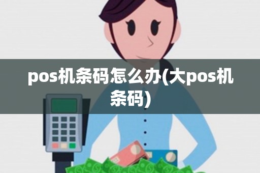 pos机条码怎么办(大pos机条码)
