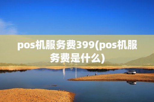 pos机服务费399(pos机服务费是什么)