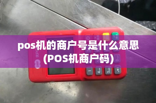 pos机的商户号是什么意思(POS机商户码)