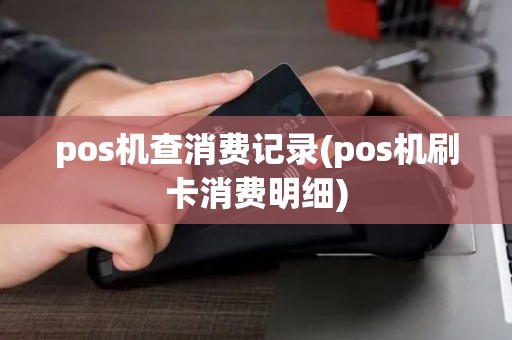 pos机查消费记录(pos机刷卡消费明细)