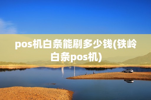 pos机白条能刷多少钱(铁岭白条pos机)