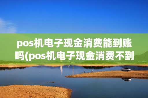 pos机电子现金消费能到账吗(pos机电子现金消费不到账)