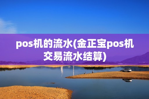 pos机的流水(金正宝pos机交易流水结算)