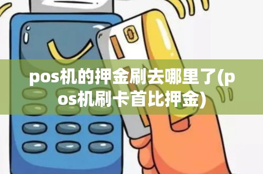 pos机的押金刷去哪里了(pos机刷卡首比押金)