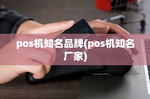 pos机知名品牌(pos机知名厂家)