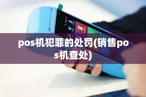 pos机犯罪的处罚(销售pos机查处)