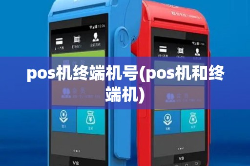 pos机终端机号(pos机和终端机)
