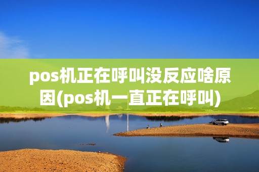 pos机正在呼叫没反应啥原因(pos机一直正在呼叫)