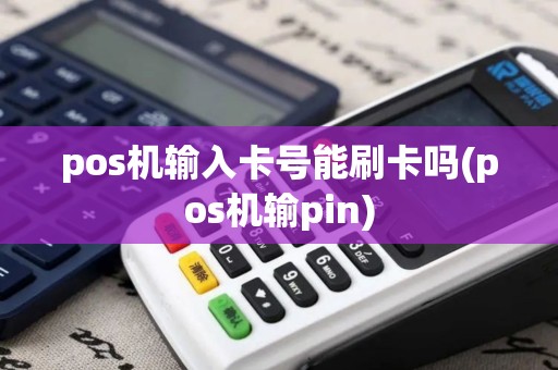 pos机输入卡号能刷卡吗(pos机输pin)