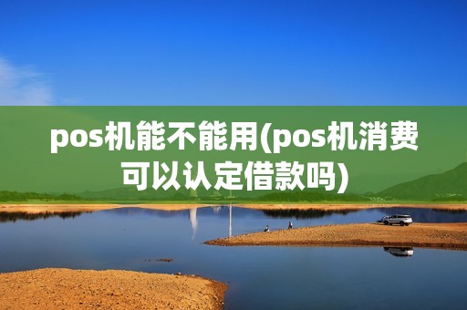 pos机能不能用(pos机消费可以认定借款吗)