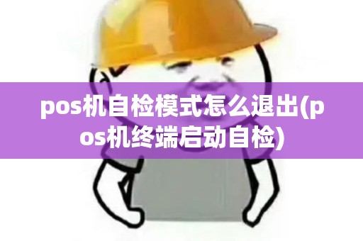 pos机自检模式怎么退出(pos机终端启动自检)
