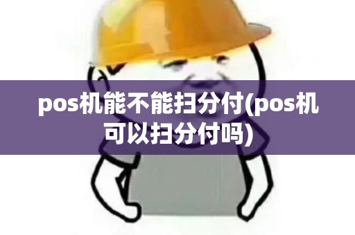 pos机能不能扫分付(pos机可以扫分付吗) pos机能不能扫分付(pos机可以扫分付吗)
