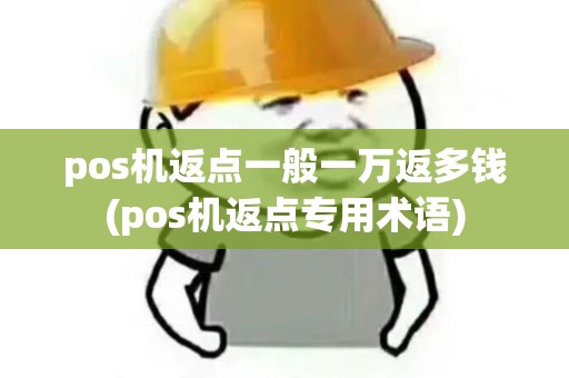 pos机返点一般一万返多钱(pos机返点专用术语)