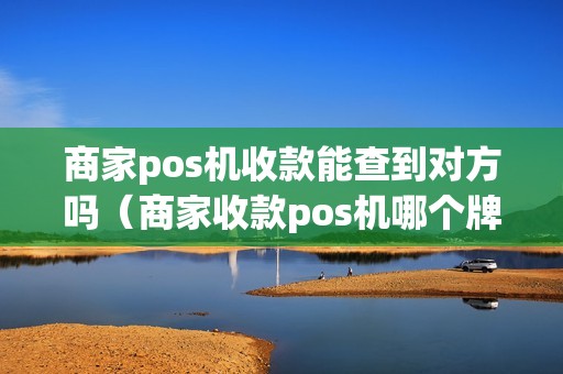 商家pos机收款能查到对方吗（商家收款pos机哪个牌子）