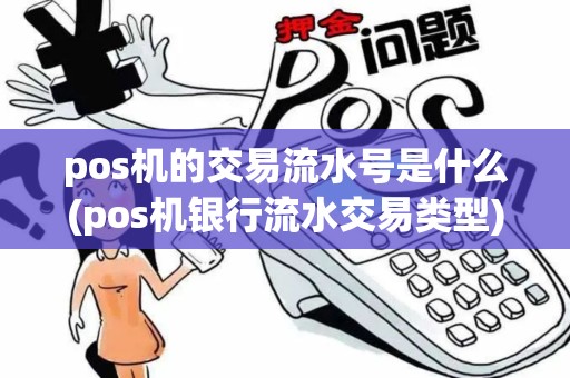 pos机的交易流水号是什么(pos机银行流水交易类型)