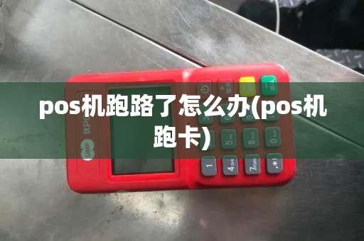 pos机跑路了怎么办(pos机跑卡)