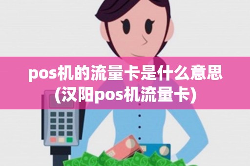 pos机的流量卡是什么意思(汉阳pos机流量卡)