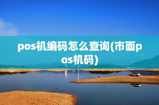 pos机编码怎么查询(市面pos机码)