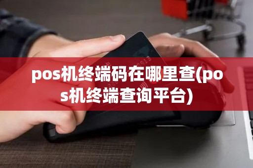 pos机终端码在哪里查(pos机终端查询平台)