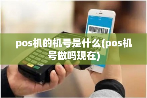pos机的机号是什么(pos机号做吗现在)