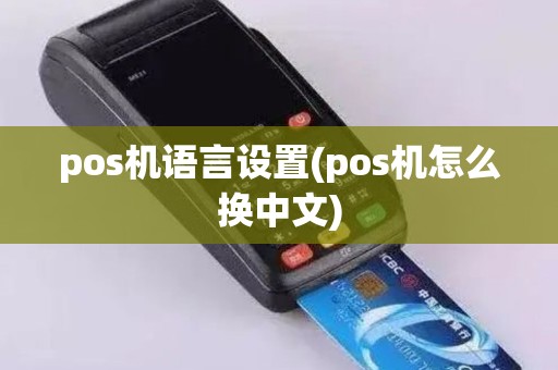 pos机语言设置(pos机怎么换中文)