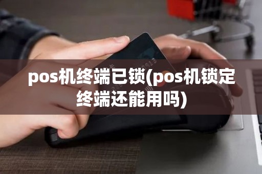 pos机终端已锁(pos机锁定终端还能用吗) pos机终端已锁(pos机锁定终端还能用吗)