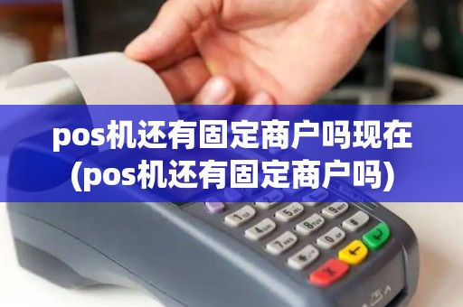 pos机还有固定商户吗现在(pos机还有固定商户吗)