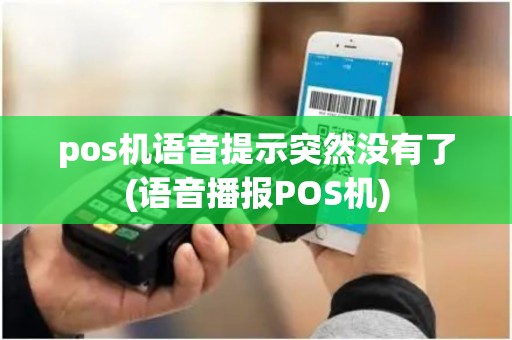 pos机语音提示突然没有了(语音播报POS机)