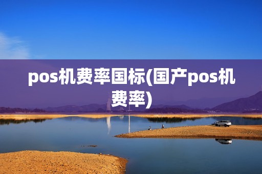 pos机费率国标(国产pos机费率)