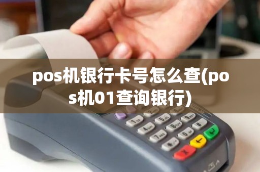 pos机银行卡号怎么查(pos机01查询银行)