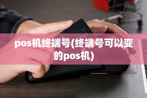 pos机终端号(终端号可以变的pos机)