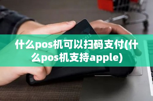 什么pos机可以扫码支付(什么pos机支持apple)