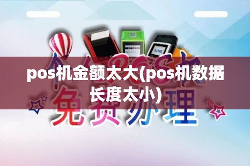 pos机金额太大(pos机数据长度太小)