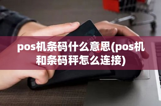 pos机条码什么意思(pos机和条码秤怎么连接)