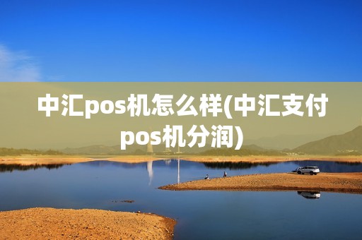 中汇pos机怎么样(中汇支付pos机分润)