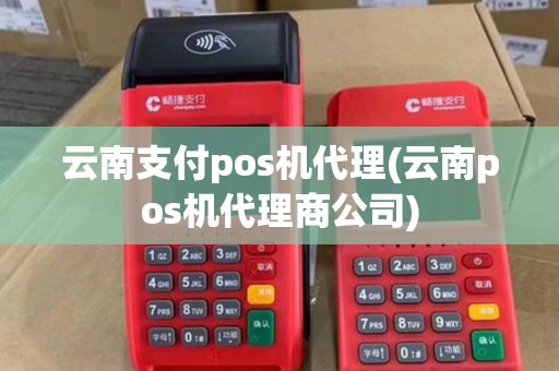 云南支付pos机代理(云南pos机代理商公司)