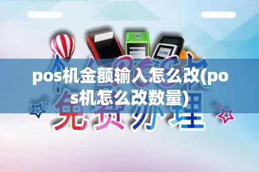 pos机金额输入怎么改(pos机怎么改数量)