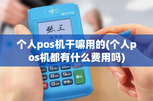 个人pos机干嘛用的(个人pos机都有什么费用吗)