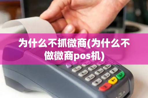 为什么不抓微商(为什么不做微商pos机) 为什么不抓微商(为什么不做微商pos机)