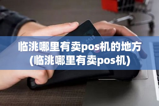 临洮哪里有卖pos机的地方(临洮哪里有卖pos机)