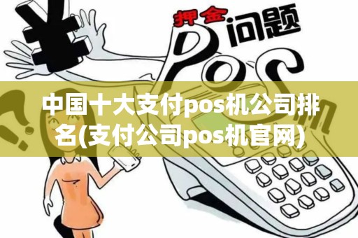 中国十大支付pos机公司排名(支付公司pos机官网)
