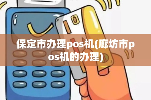 保定市办理pos机(廊坊市pos机的办理)