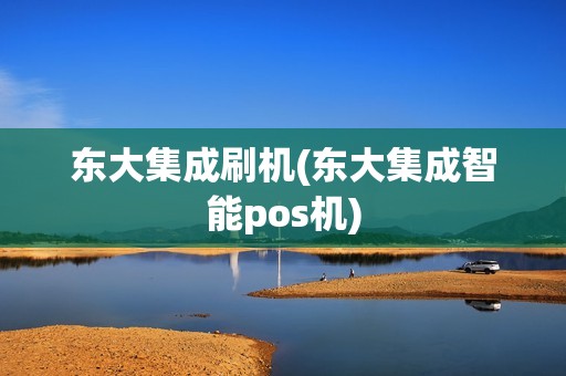 东大集成刷机(东大集成智能pos机)