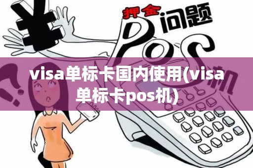 visa单标卡国内使用(visa单标卡pos机)